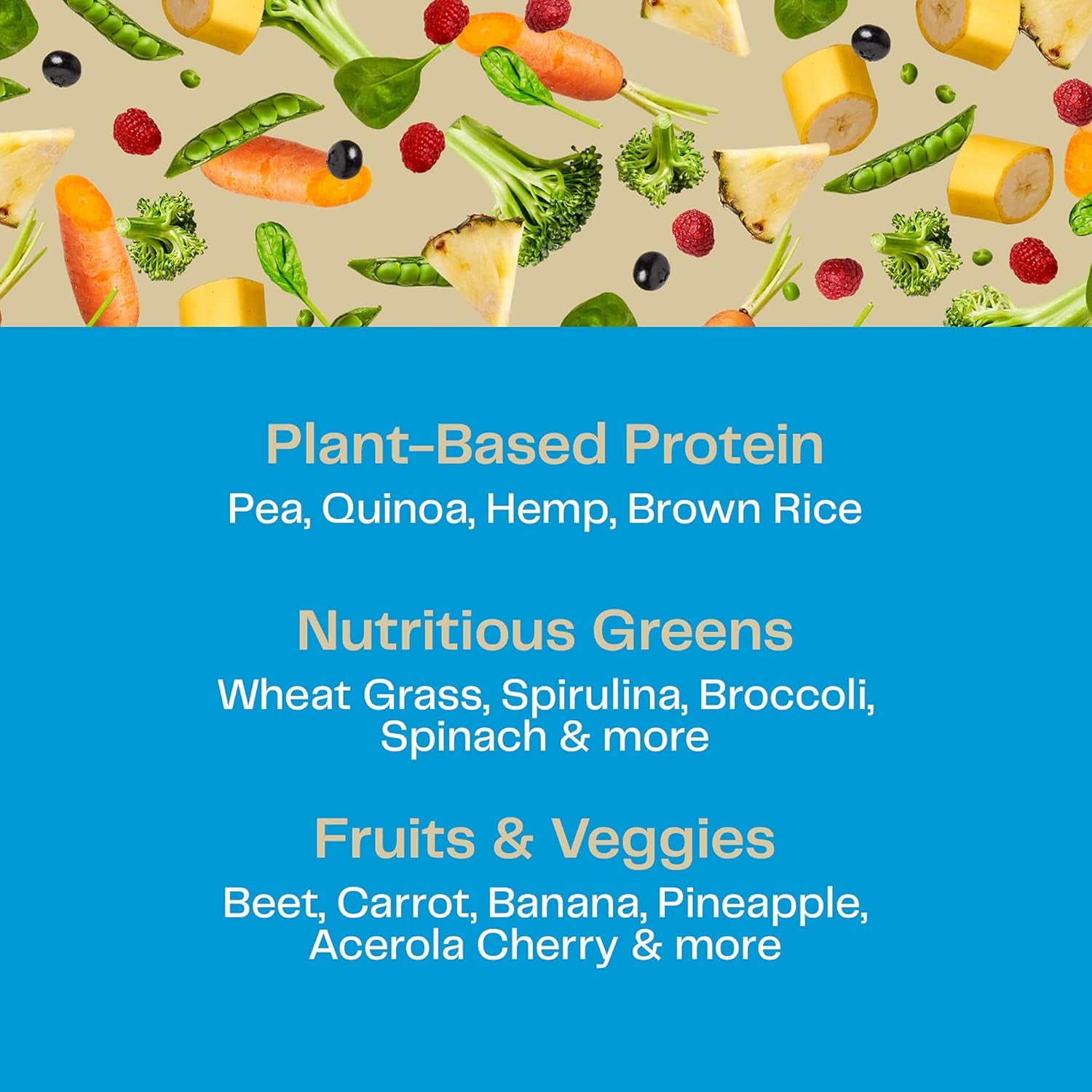Organic Plant Protein Blend: Vegan Protein Powder, New Protein Superfood Formula, All-In-One Nutrition Shake with Beet Root, Pure Vanilla, 11 Servings